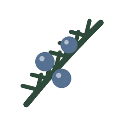 Juniper Yoga icon